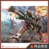 [Hot Blood Model] BANDAI BANDAI Gundam Model MG 1/100 Gundam SEED Storm Gundam