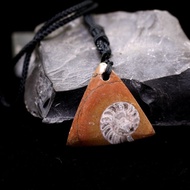 Natural Ammonite Fossil Paleological Fossil Right Angle Stone Rough Stone Specimen Fossil Jewelry Pe