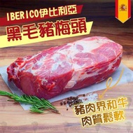 西班牙IBERICO伊比利亞黑毛豬梅頭(橡果級)(93149)｜豬肉 (急凍-18°C)