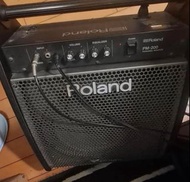 Roland amp pm 200