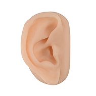 SimCoach Acupuncture Ear Model, Right Artificial Ear Replica for Auricular Therapy Teaching, Piercin