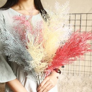Artificial Flower INS 5 Forks Euro Simulation Rime Grass Bouquet for Wedding Home Decoration Plants 