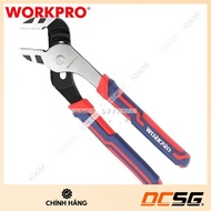 Workpro Crow's Beak / DCSG