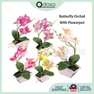 ODOSO Butterfly Orchid with Flowerpot Potted Artificial Plant Garden Decoration for AirBnB House Off