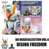Bandai RISING FREEDOM BN Head Collection Rising Freedom BN HEAD Collection VOL.4 Ascending Freedom A