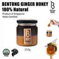13 Honey Bentong Ginger Honey | 100% Natural Honey | Pure Honey Organic Honey Raw Honey