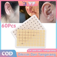 60Pcs Ear Therapy Seeds Ear Acupuncture Seed Plaster Os Ear Massage Patch Acupuncture Moxibustion