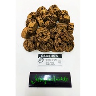 PORTUGAL CORK CACTUS 5 (MADE IN PORTUGAL)