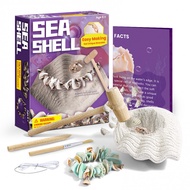 Treasure Kit for Kids | Shell Mining Kit | Bracelet Making Kit Dig Up Shells and Create a Bracelet G