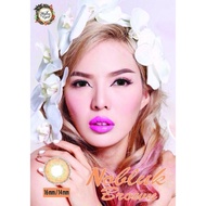 Contact Lens - Western Eyes - Nublok 16.5mm - Plano - Power - Free Lens Case