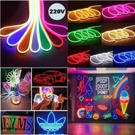 Flexible LED NEON FLEX HOSE USES CLIP ADAPTER