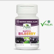 Vitamin Mata Billberry HPAI HNI - Produk Original Termurah