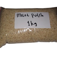 Milet Putih BERKUALITAS / High Quality White Millet 1kg Pakan Biji - Bijian Burung, Hamster