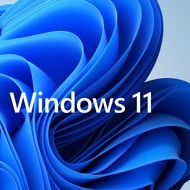 Windows 11 Pro 64 Bit Original