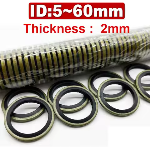 Combined Gasket Skeleton Oil Seal Carbon Steel Nitrile JB982-77 High Pressure Oil Pipe Gasket High P