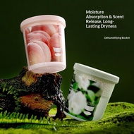 Moisture Absorber Dehumidifier Box for Wardrobe & Room Anti-Mold | Penyerap Lembap & Kulat Almari Pa