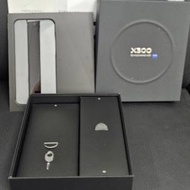 港版VIVO X300