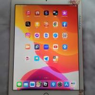 Apple iPad Air 2 LTE. 剛換全新電池 WI...