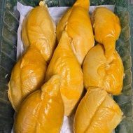 【PJ Durian】 D13 Red Prawn ( 400g - 450g )