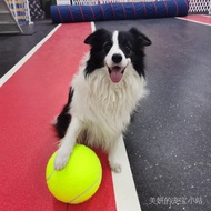 7/8.5/9.5 inch tennis pet toy inflatable training rubber ball elastic ten times happy koji golden ha