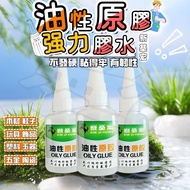 Taiwan Shipment Oily Original Glue [Xinjihong] Universal Quick-Drying Three-Second Instant Super Tre