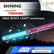 หลอดไฟล่อแมงดา หลอดไฟล่อแมลง BLACK LIGHT SHINING by Toshiba