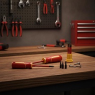 shandaizhi666ae Insulated Screwdriver Set Magnetic Slotted Bits Interchangeable Multi-Purpose Electr