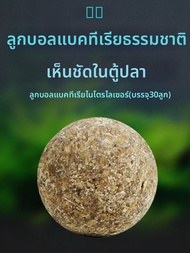 Bio-Bacteria Ball ไนตริฟายอิ่งสำหรับตู้ปลา
