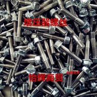 Stainless Steel Booster Screw Booster Fixing Screw Booster Booster Screw Stainless Steel