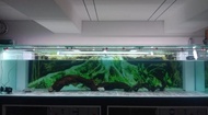 Aquarium 350X100X85 Conserver1541