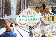 【韓國】年度熱銷 京畿道一日遊｜羊駝(草泥馬)牧場、 晨靜樹木園、小法國村、義大利村、南怡島、三岳山纜車、鐵路自行車、塗鴉秀、韓國歐巴-狂野夢幻秀 （首爾出發 )
