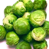brussel sprout seeds