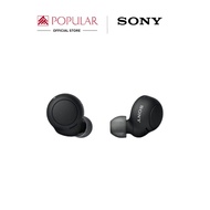 SONY WF-C500 TRUE WIRELESS EARBUDS