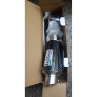 Short carbon Leovince exhaust