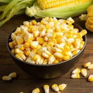 Jagung Pipil Jasuke sweet corn kernel