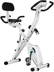 BARWING Fitness Bike, Spin Bike, Training Bike, Silent, Foldable, Easy to Assemble (PRO Model (White
