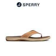 Sperry Men's Havasu Perforated Flip Flop Sandals - Linen/Oat (STS22111)