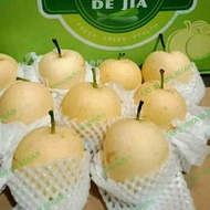 buah pear yalie 1kg