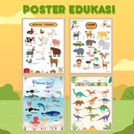 Poster Edukasi Belajar Anak Dinosaurus,Hewan Buas, Hewan Ternak,Hewan