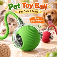 Interactive Pet Toy Ball for Cats & Dogs Home Play Fun Ball Toy for Relieving Boredom