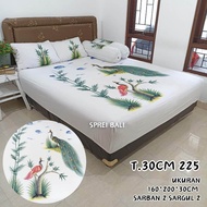 Sprei Tinggi 30 size 160 Sprei Bali Sprei Tiedye Sprei Lukis Sprei Bahan Adem