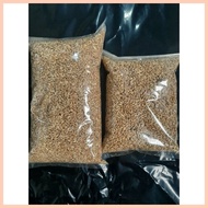 ◭ ☃ ◈ 1kg cat grass seeds (mix barley oat wheat seeds)