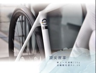 女性專屬公路單車 2022 LIV LANGMA Advanced 2 Disc QOM (台灣 GIANT 女裝) 碟煞 roadbike Shimano R7020