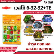 ปุ๋ย ปุ๋ยเกล็ด เวสโก้ ปุ๋ย เกล็ด 6 32 32 TE ขนาด 1 กิโลกรัม ฮอร์โมนพืช เสริมการเจริญเติบโต ลำต้น ราก