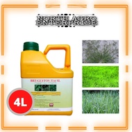 Racun Rumput D-Glyphosate 33.6SL (sama jenis dengan ammo supre) 4L / Herbicede or Weed Control