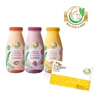 Milk Plus & More แพคคู่ น้ำหัวปลี Milk Plus 9 ขวด + Ginger Gold วิตามินเพิ่มน้ำนม 1 กล่อง