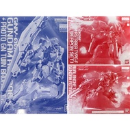 BANDAI model kits MG 1/100 GNY 001 +PROTO GN TWIN BROAD BLADE PB  GNY 001F GUNDAM ASTRAEA TYPE-F FUL