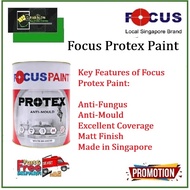 Focus Protex Paint