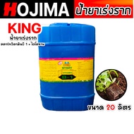 น้ำยาเร่งราก คิงสตาร์ท วิตามิน บี-1 ผสมไคโตซาน มี 4 ขนาดให้เลือก สารเร่งราก สารกระตุ้นราก น้ำยาบี1 B