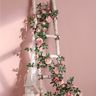 Antique rose vines / pink vines / climbing rose vines (flower color upon request) / decorative vines